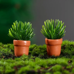 Plante i krukke - 2 stk