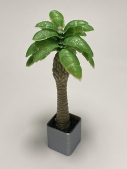 Palme