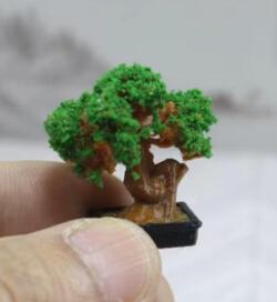 Bonsai