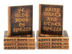 Books of Spells - 2 stk
