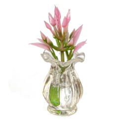 Vase med blomst