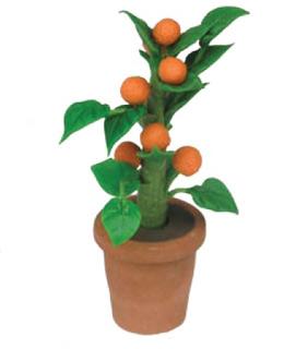 Appelsintræ i potte