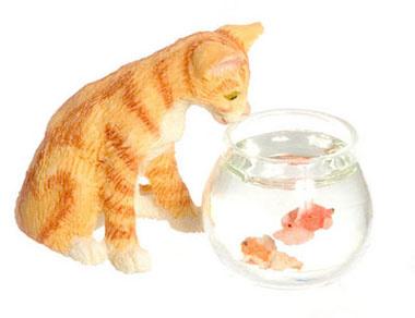 Kat og fisk