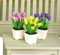 Tulipaner i potte - 1 stk