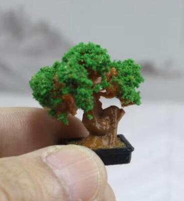 Bonsai