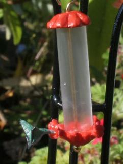 Foderautomat med kolibri