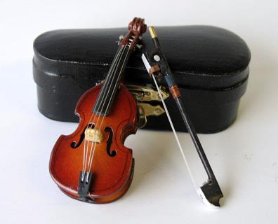 Violin med opbevaringsboks