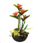 Bird of Paradise