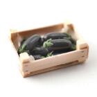 Aubergine i trækasse