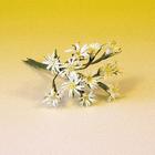 Blomster - 12 stk