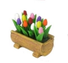 Tulipaner i trug