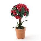 Opstammet blomst