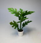 Grøn plante