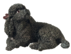 Puddelhund