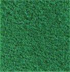 Væg-til-vægtæppe / Grøn