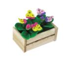 Stedmoderblomster i kasse